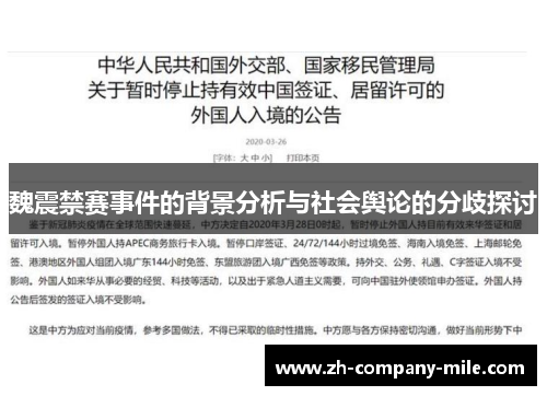 魏震禁赛事件的背景分析与社会舆论的分歧探讨