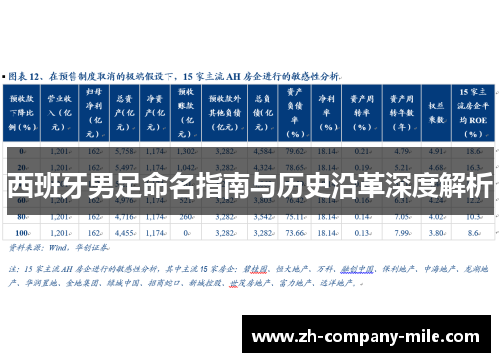 西班牙男足命名指南与历史沿革深度解析